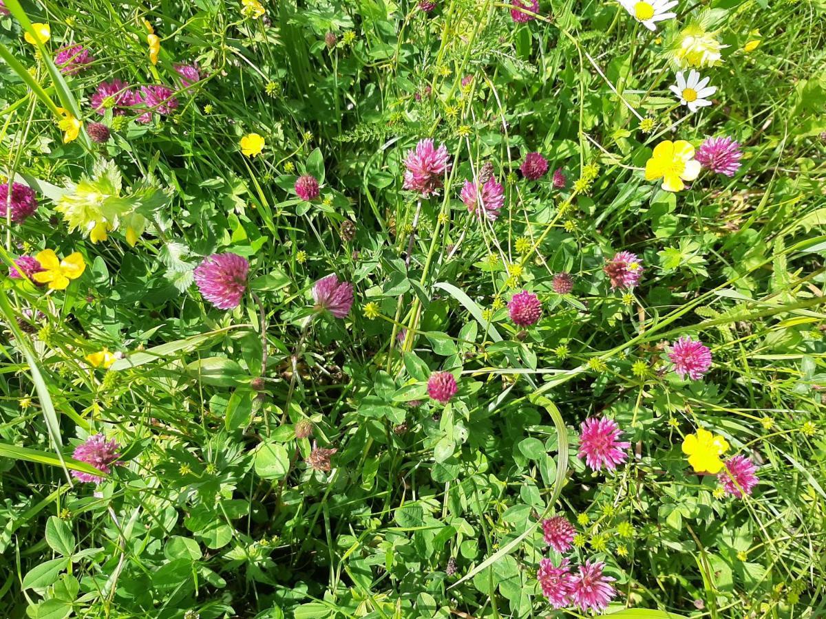 Alpine Lodge Kloesterle Am Arlberg מראה חיצוני תמונה